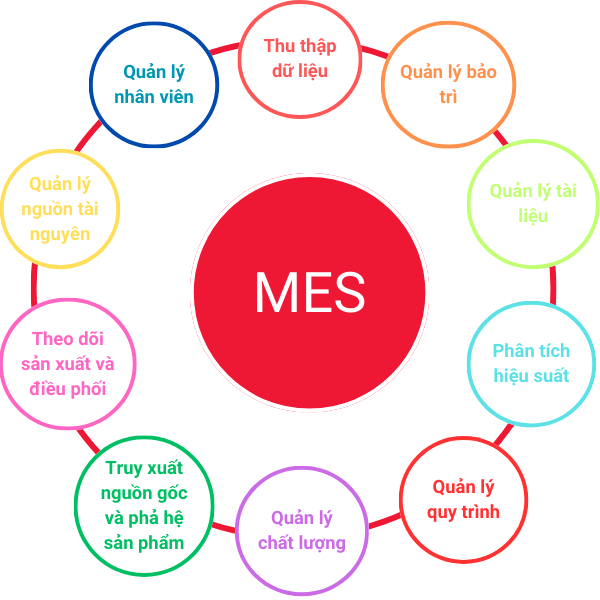 mes-5 (2)